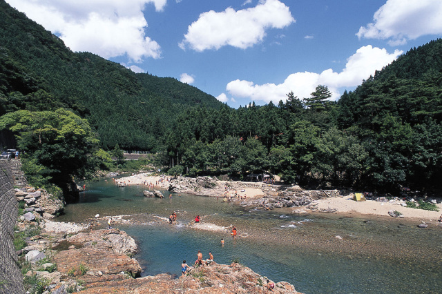 キャンプ場_8_すぎのこキャンプ場