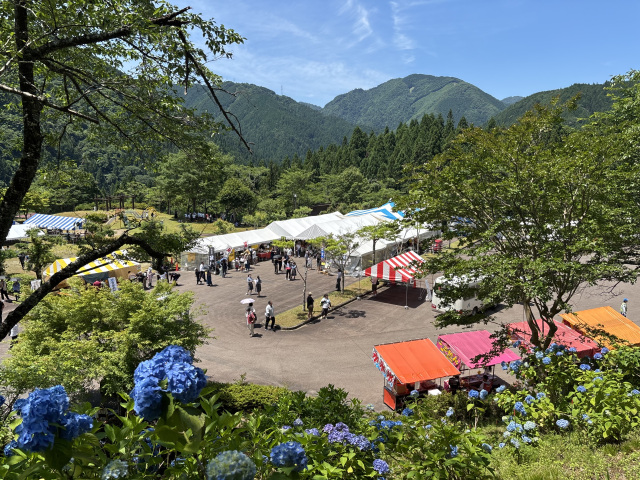 板取あじさいまつり