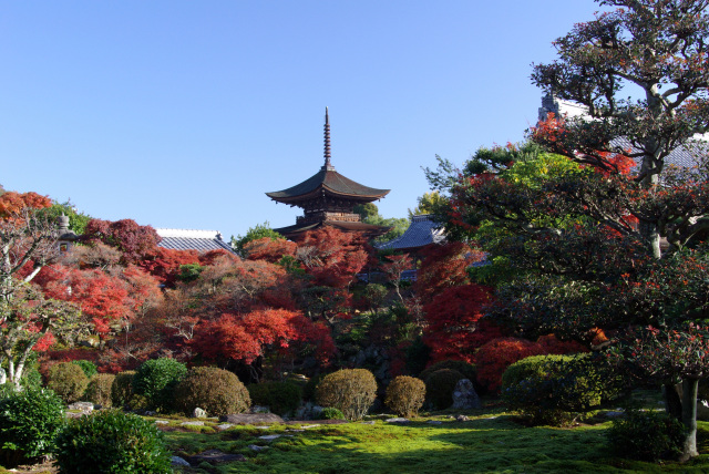 新長谷寺(吉田観音)_1