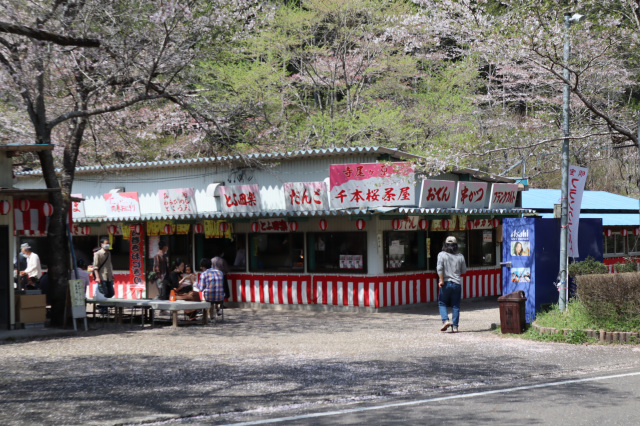寺尾ヶ原千本桜公園_7_茶屋