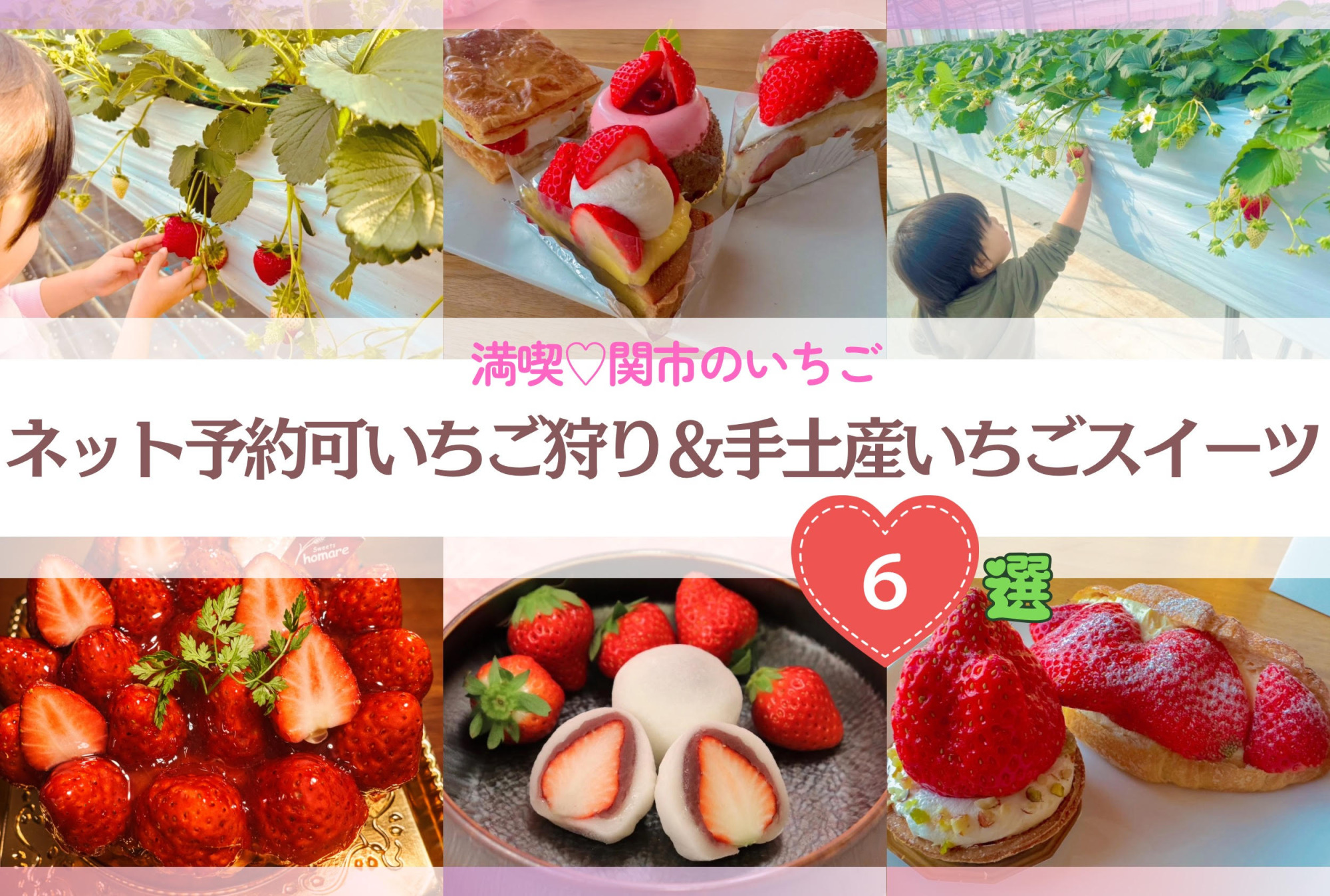 【関市のいちご】ネット予約可！いちご狩り＆手土産いちごスイーツ6選