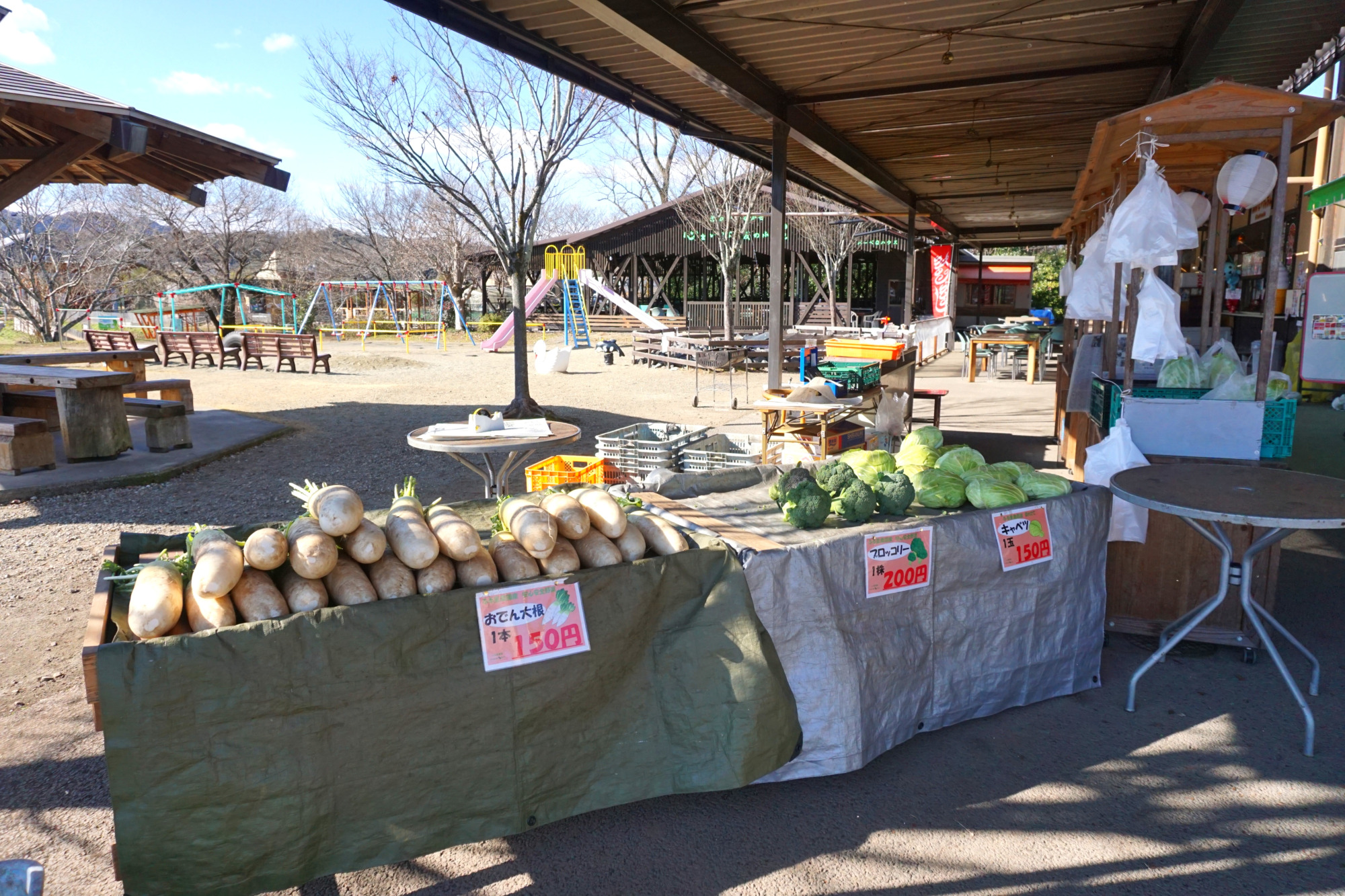 体験・グルメ・買い物まで楽しめる！「ふる里農園 美の関」まるわかりガイド