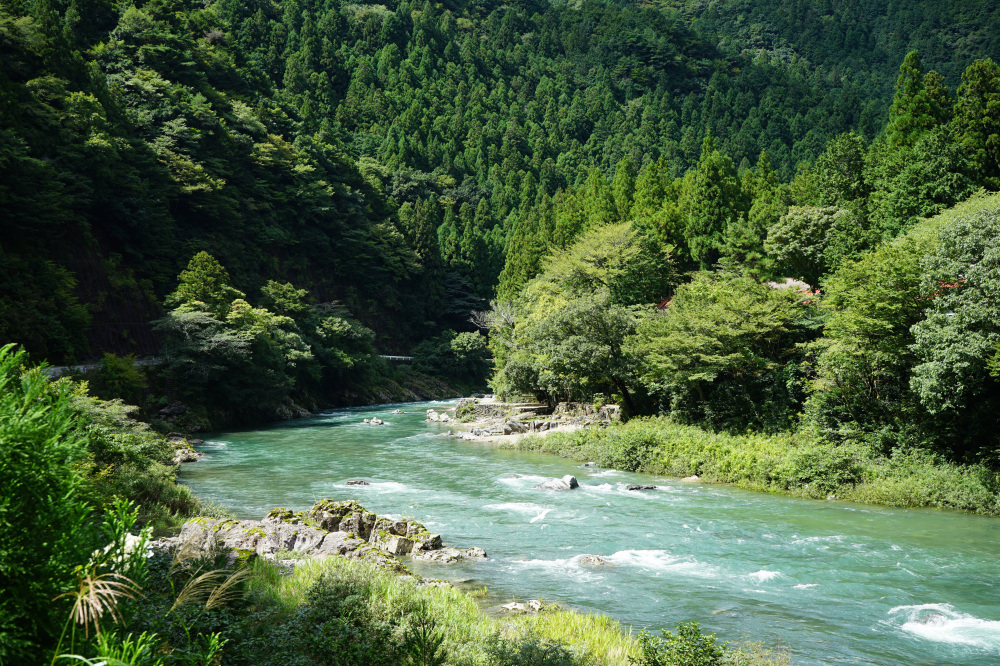 名水と自然をめぐる、洞戸・高賀の半日旅