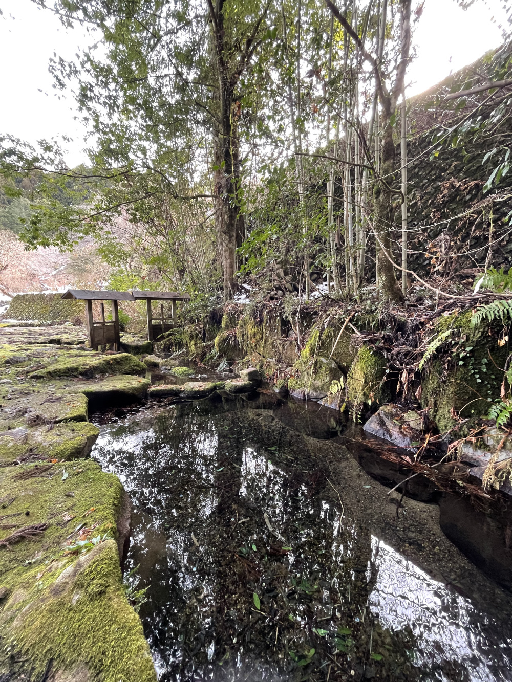 岐阜名水百選にも選ばれた、白髭神社のお宮の清水