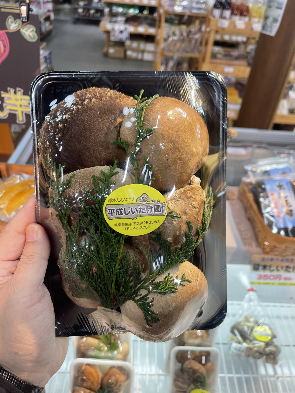 名物の原木椎茸。肉厚で、食べ応えも味も抜群です