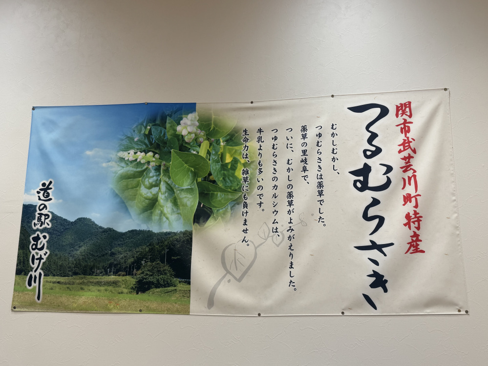 つるむらさきのパワーも書かれているので読んでみてください