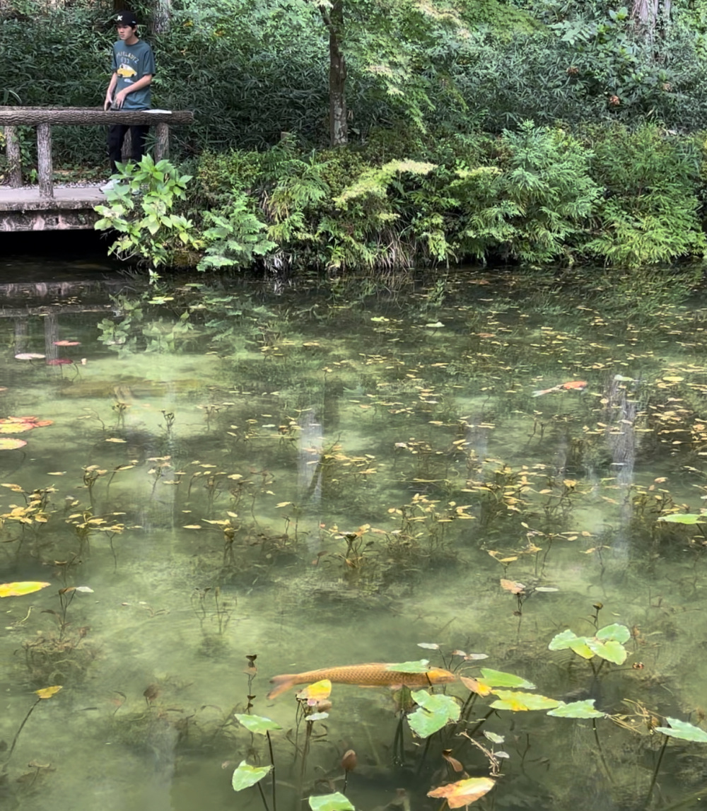 光の加減によってエメラルドグリーンにも、深い青にも表情を変えていきます。