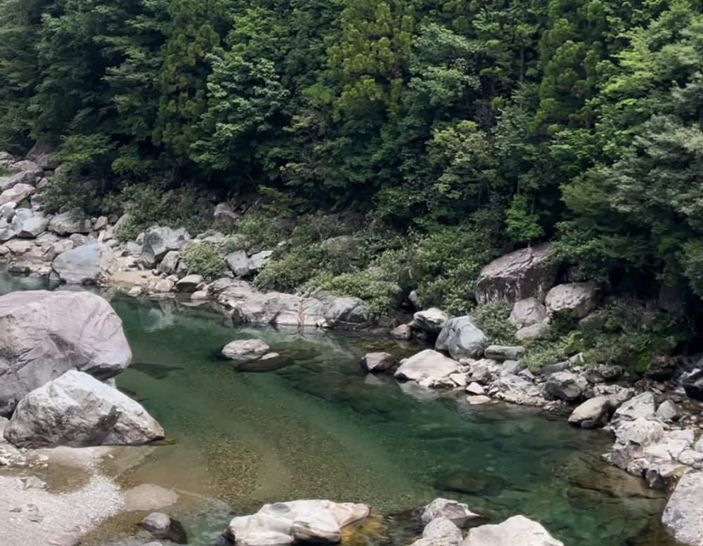 橋を渡る時に見る板取川の綺麗さに感動しました!