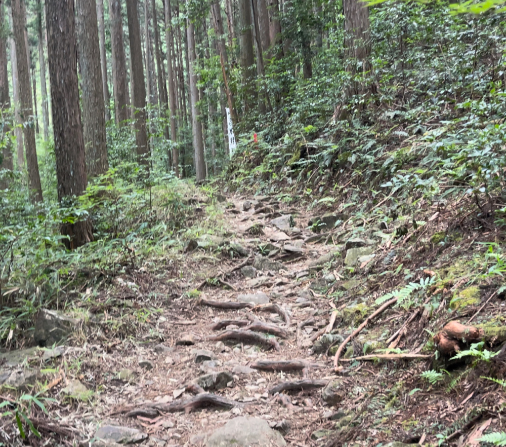 山道を頑張って登っていくと、