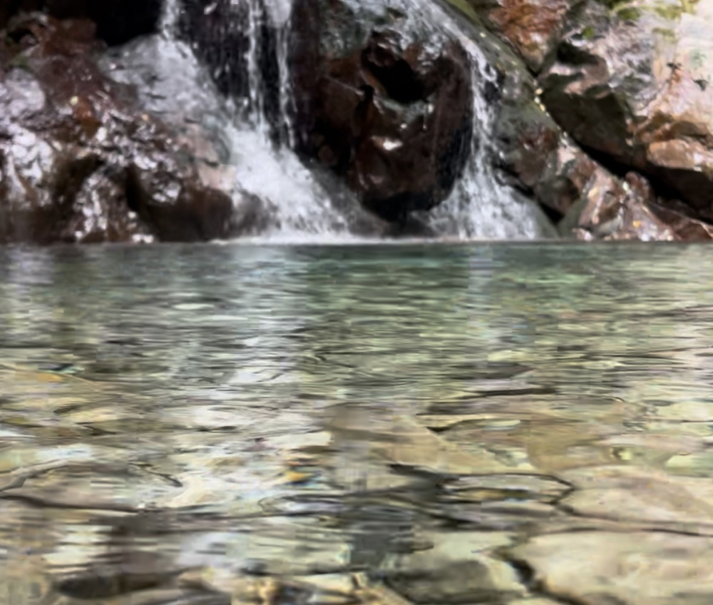 大自然の中で、車の音も聞こえない世界