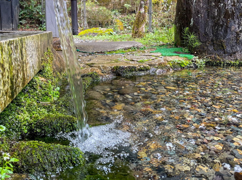 圧倒的な綺麗さのお水