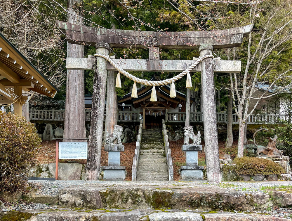 高賀神社の鳥居、これから桜が咲いて素敵な場所になってきます!