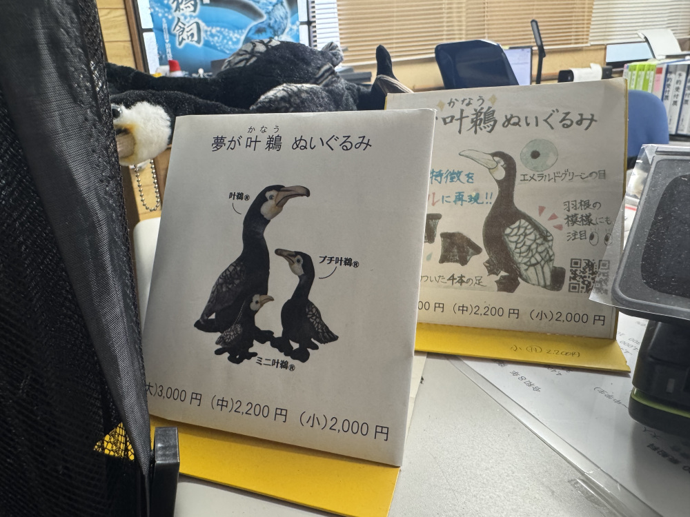 叶鵜ぬいぐるみ、私が乗船した際もみなさんに人気でした