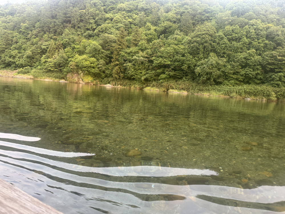 長良川の水も、小瀬地区の美しさはピカイチ