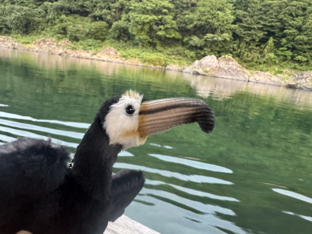 購入した叶鵜くんとぱしゃり♪鵜飼の人気者です