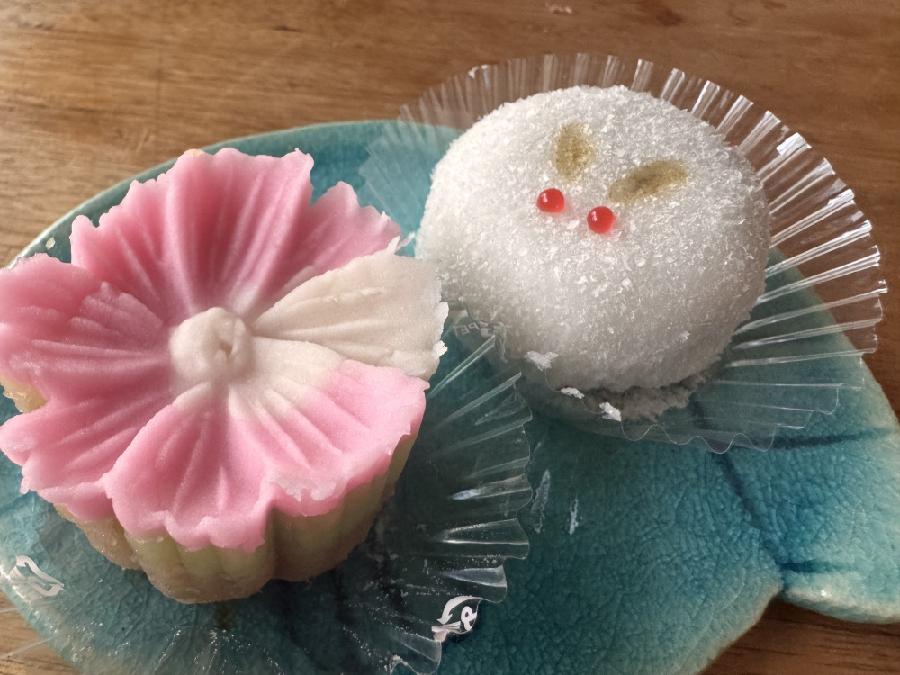 お月見と秋桜。秋です♡