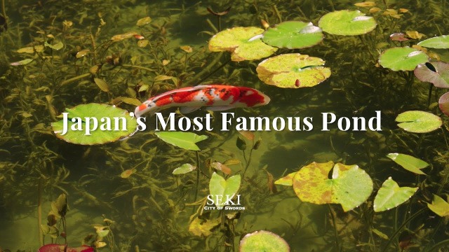 Seki City Promotional Video "Japan's Most Famous Pond"