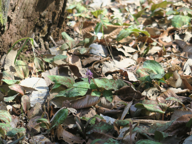 2026年3月14日（土）