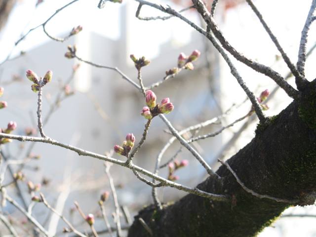 2026年3月18日(水)