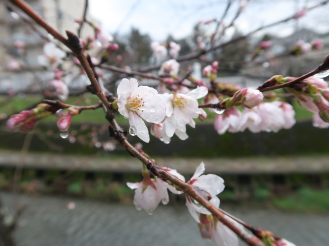 2026年3月19日(木)