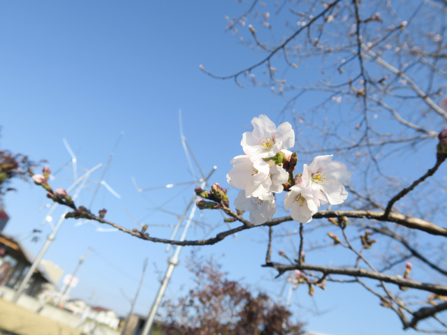 2026年3月21日(土)