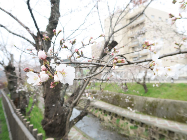 2026年3月22日(日)