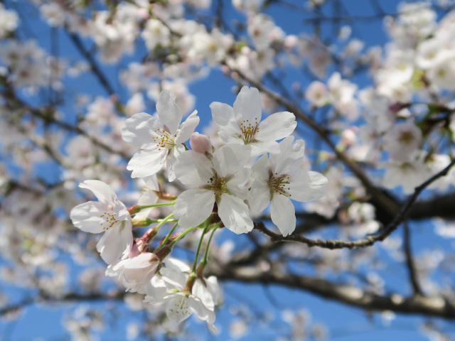 2026年3月27日(金)
