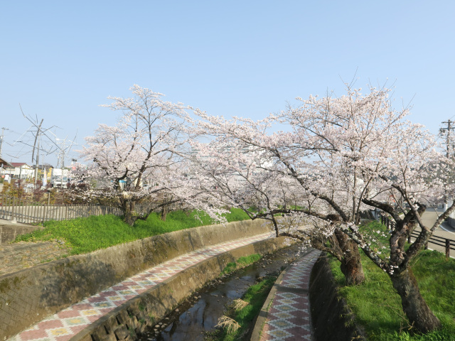 2026年3月29日(日)