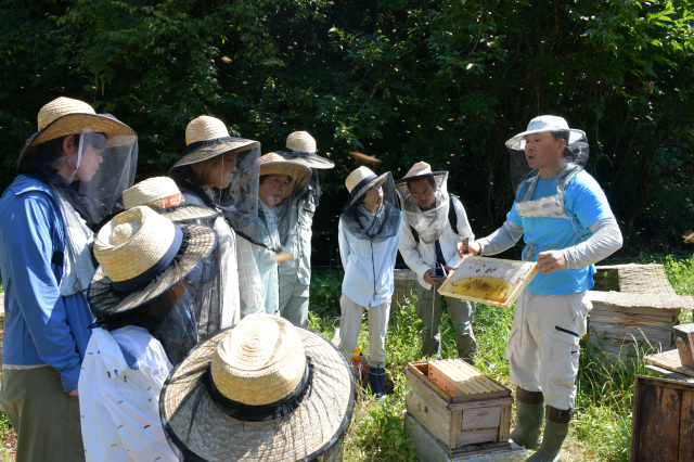 7月25日（土）26日（日）せきファンクラブ体験コンテンツ第1弾「蜂蜜しぼり体験」を開催