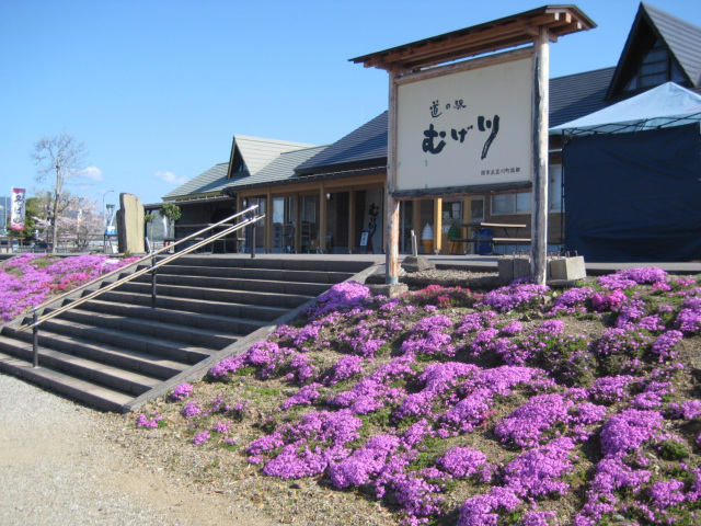 道の駅 むげ川