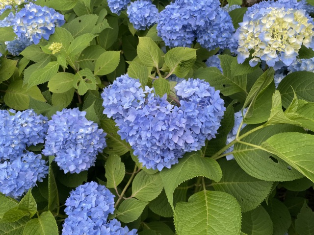 21世紀の森公園