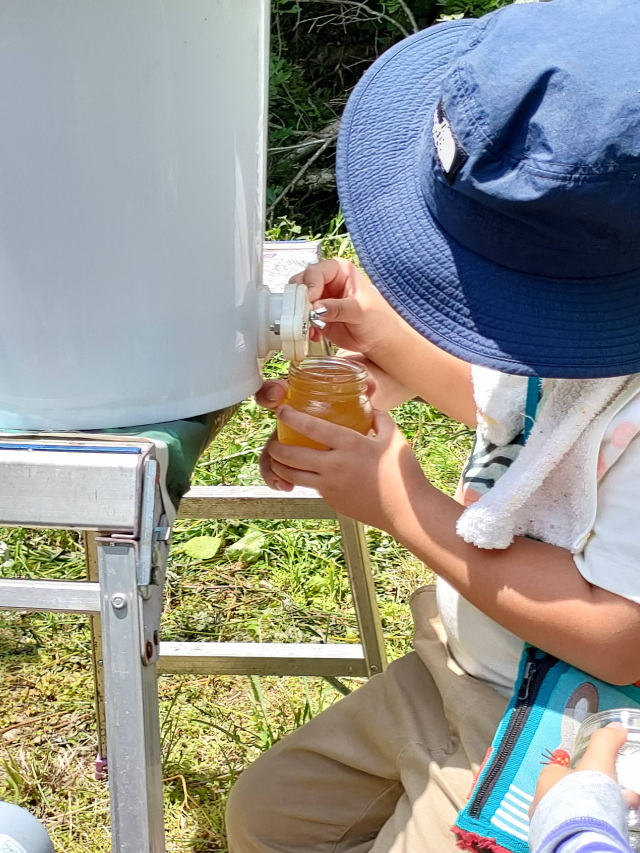 【第1弾】蜂蜜しぼり体験（山田くんの養蜂場）