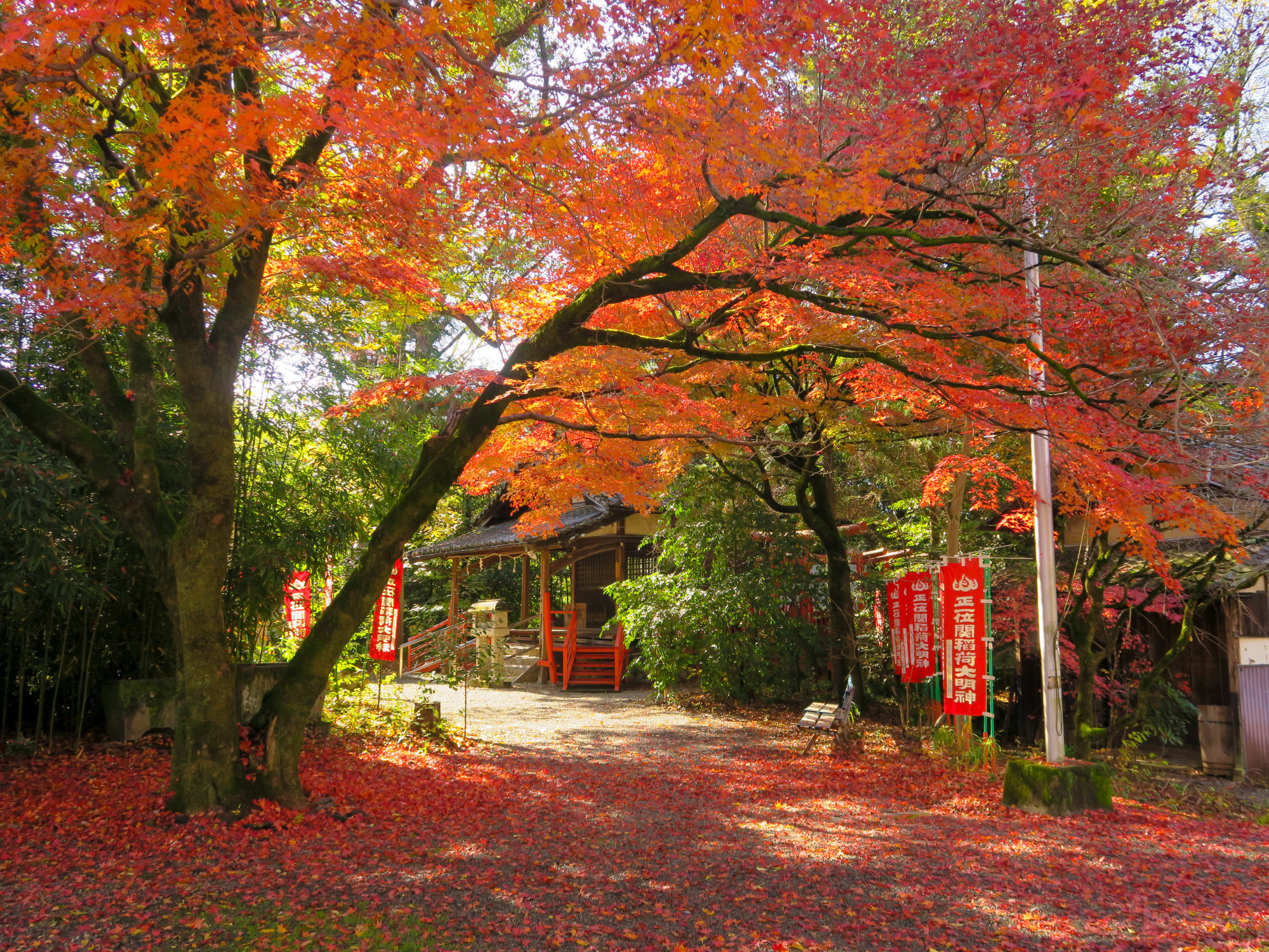 渓谷から街なかまで、さまざまなシーンで楽しむ「関市の紅葉」